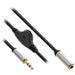 EAN 4043718282906 - InLine 99253B cable de audio 0,25 m 3,5mm Negro imagen 1