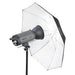 EAN 4250234576567 - Walimex 17656 paraguas Negro, Blanco imagen 2