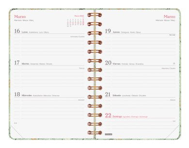 EAN 8422952405665 - Finocam 760003026 agenda Agenda semanal Verde, Multicolor imagen 5