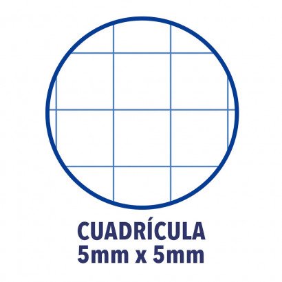 EAN 8412771007058 - Oxford Europeanbook 1 cuaderno y block A4+ 80 hojas Color menta imagen 2