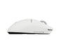 EAN 5099206130111 - Logitech G PRO X SUPERLIGHT 2c ratón Juego Ambidextro RF inalámbrico 44000 DPI imagen 4