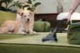 EAN 8059019111506 - Hoover HP210P 011 2,5 L Aspiradora cilíndrica Secar 800 W Sin bolsa imagen 13