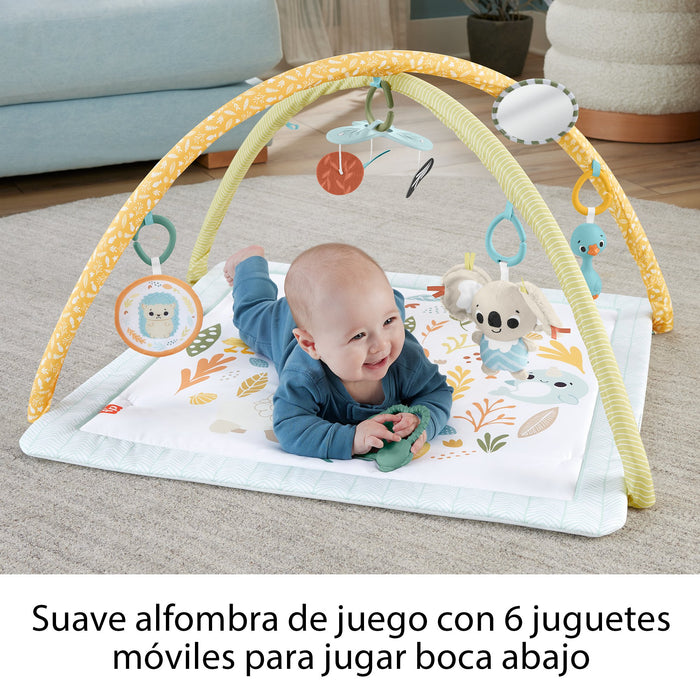 EAN 0194735171385 - Fisher-Price Sensimals HRB15 gimnasio para bebé y tapete de juego Tela, Plástico Multicolor Gimnasio para imagen 10