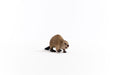 EAN 4059433364582 - schleich Vida Salvaje 14855 figura de juguete para niños imagen 5