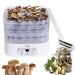 EAN 5903887805582 - Adler AD 6658 deshidratador de alimentos Blanco 230 W imagen 6