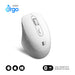 EAN 8436586743000 - SUBBLIM SUBMO-EDCUR02 ratón Universal mano derecha Bluetooth + USB Type-A Óptico 1600 DPI imagen 1