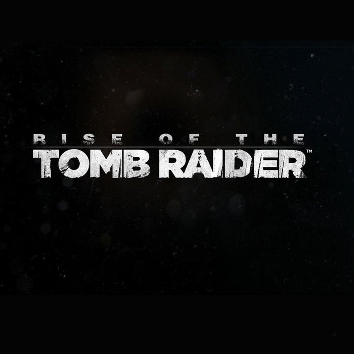 EAN 4020628599270 - Square Enix Rise of the Tomb Raider - 20 Year Celebration Edition PS4 Day One (Primer día) Alemán, Inglés imagen 1