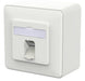 EAN 4251394665634 - METZ CONNECT 130D370027-I toma de corriente RJ-45 Blanco imagen 1