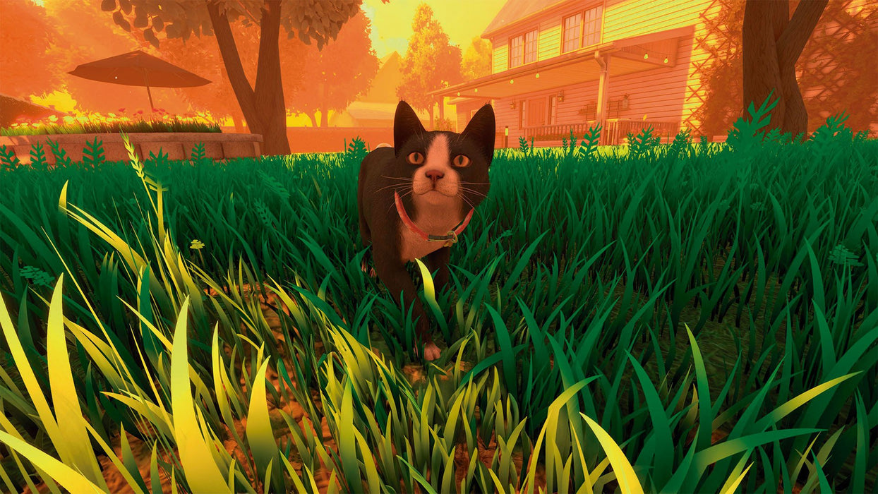 EAN 8436016712705 - Tesura Games Copycat imagen 8