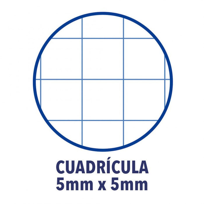 EAN 8412771083007 - Oxford 100430199 cuaderno y block A4 Verde imagen 3
