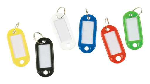 EAN 5705831108769 - Q-CONNECT KF10876 llavero Colores surtidos 240 pieza(s) imagen 1