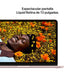 EAN 195950854336 - Apple MacBook Neo Apple A Portátil 33 cm (13") Wi-Fi 6E (802.11ax) macOS Tahoe imagen 5