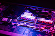 EAN 5908267913772 - Goodram SODIMM DDR5 2x16Gb 5600MHz CL40 SR RIVAL módulo de memoria 32 GB 5600 MT/s 262-pin SO-DIMM imagen 10