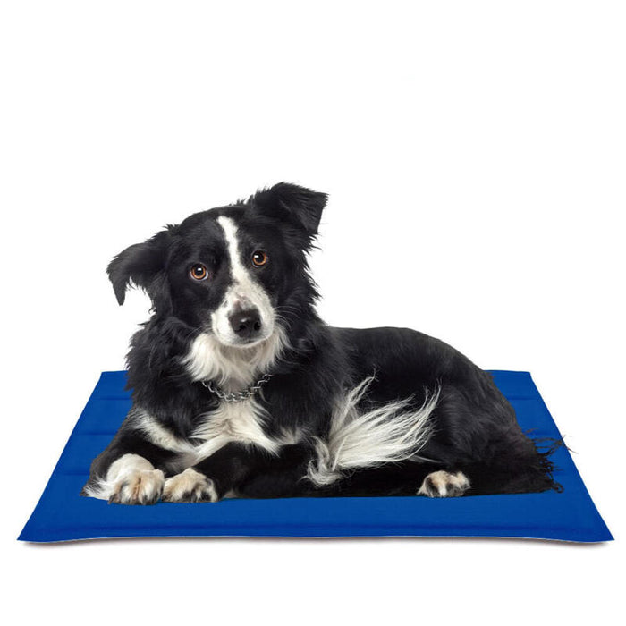 Alfombrilla Refrescante Cool Mat Gel Azul 50x90cm Nayeco