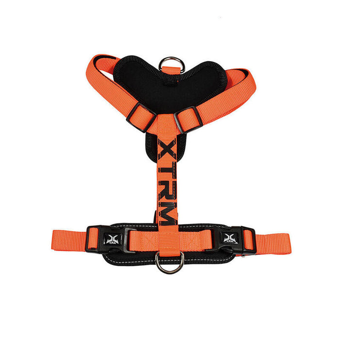 Arnés X-Trm Cronos Neon Flash 60-100 X 2,5 Cm Naranja