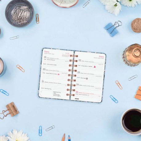 EAN 8422952405474 - Finocam 760103126 agenda Agenda semanal Multicolor imagen 3