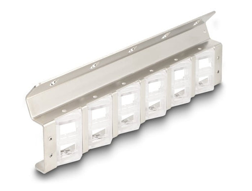 EAN 4043619670406 - DeLOCK 67040 accesorio para módulo Keystone Soporte para instalación en carcasa imagen 1