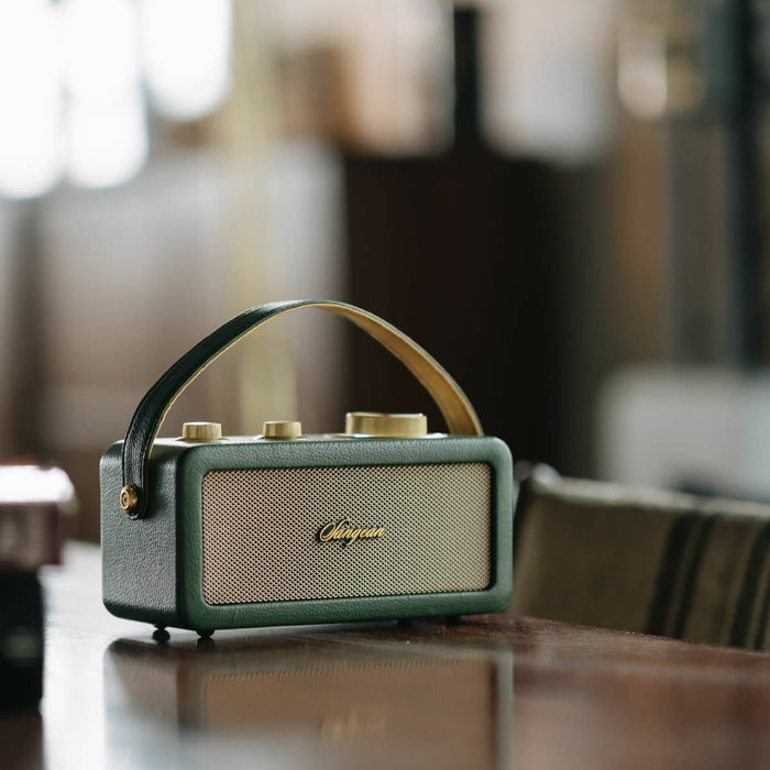 EAN 4711317997483 - Sangean RA-101 Portátil Analógica Oro, Verde imagen 6