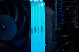 EAN 0740617338249 - Kingston Technology FURY Renegade RGB módulo de memoria 1 x 16 GB 3600 MT/s 288-pin DIMM imagen 10