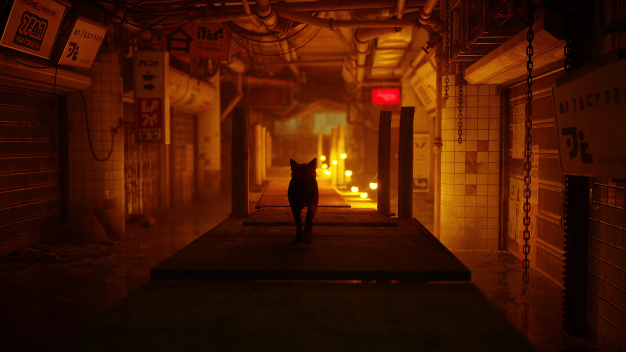 EAN 0811949035196 - Skybound Games Stray Estándar Italiano PlayStation 5 imagen 17