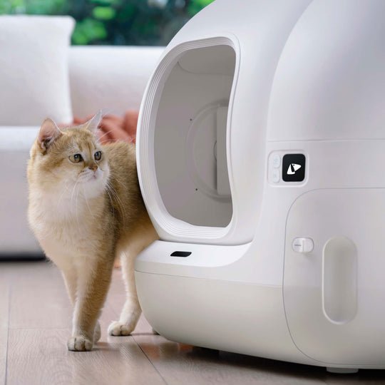 EAN 6973293806571 - PETKIT Puramax Gato Arenero con limpieza automática Blanco imagen 6