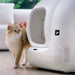 EAN 6973293806571 - PETKIT Puramax Gato Arenero con limpieza automática Blanco imagen 6