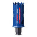 EAN 4059952535685 - Bosch 2 608 900 422 sierra de corona Taladro 1 pieza(s) imagen 1