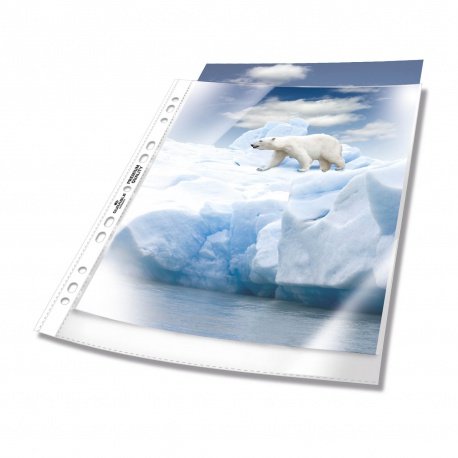 EAN 4005546216430 - Durable 2677-19 protector de hojas 210 x 297 mm (A4) 50 pieza(s) imagen 2