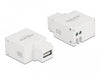 EAN 4043619877911 - DeLOCK 87791 módulo de conector de red imagen 1