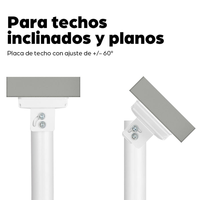 EAN 0766623462686 - Manhattan 462686 montaje para projector imagen 14