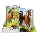 EAN 4008705071451 - HERMA 7145 carpeta Polipropileno (PP) Multicolor A3 imagen 1