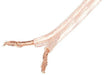 EAN 5901969429558 - Lanberg SC-2X25-10CC-0250-TR cable de audio 25 m Transparente imagen 1