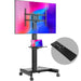 EAN 4262392441427 - ONKRON TS1552E 190,5 cm (75") Negro imagen 3