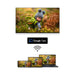 EAN 9120106662788 - Thomson Q70 Series 165,1 cm (65") 4K Ultra HD Smart TV Wifi Negro 300 cd / m² imagen 6