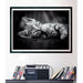 EAN 8005125399505 - Clementoni High Quality Collection 39950 puzzle Puzzle rompecabezas 1000 pieza(s) Animales imagen 3