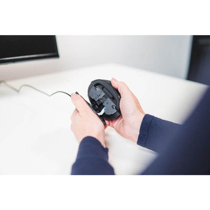 Bakkerelkhuizen Oyster Ratón Ambidextro Usb Tipo A 1200 Dpi