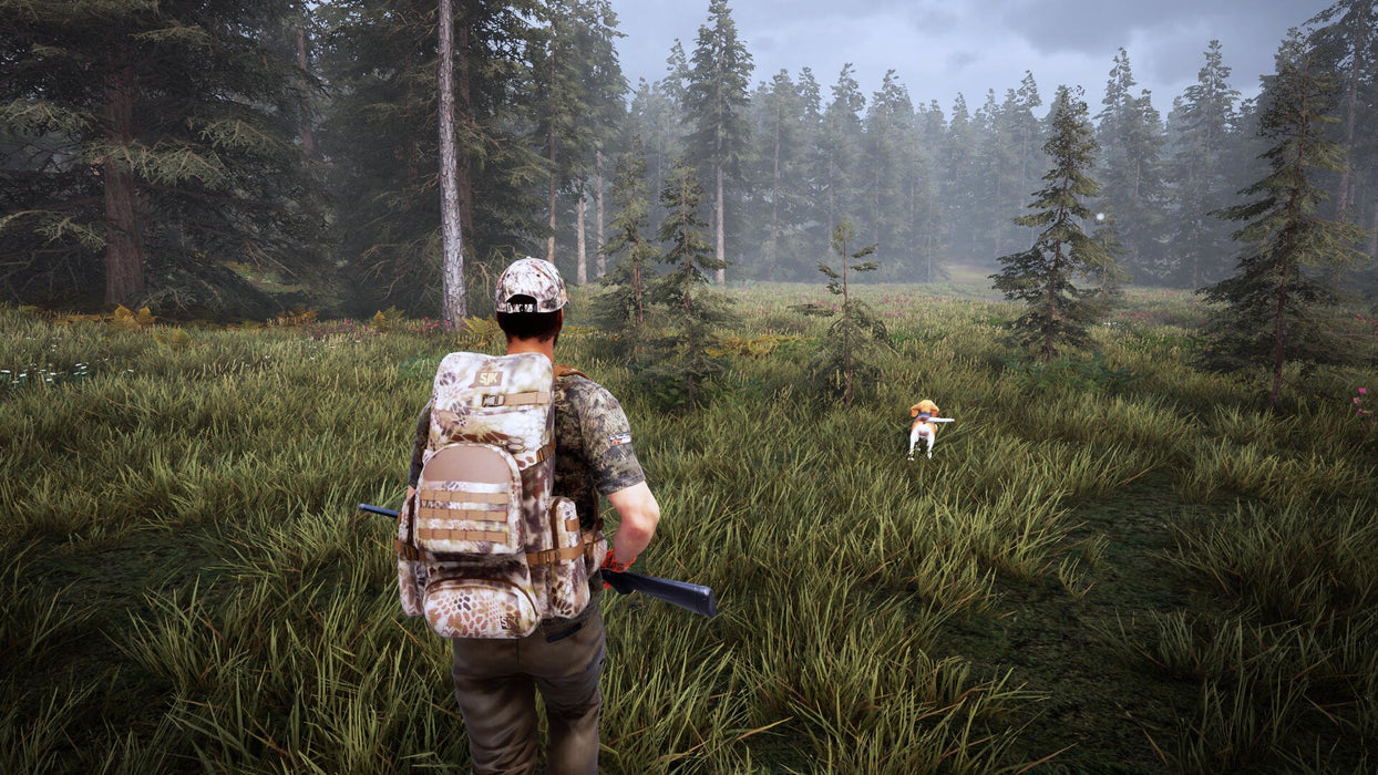 EAN 3665962001358 - Bigben Interactive Hunting Simulator 2 Estándar Nintendo Switch imagen 5
