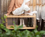 EAN 8435304883707 - Fijalo Heim_MU73108 imagen 4