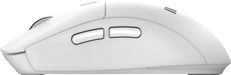 EAN 4711377422420 - MSI FORGE K210 W COMBO WHITE US teclado Ratón incluido Hogar / Oficina USB QWERTY Inglés de EE. UU. Blanc imagen 17