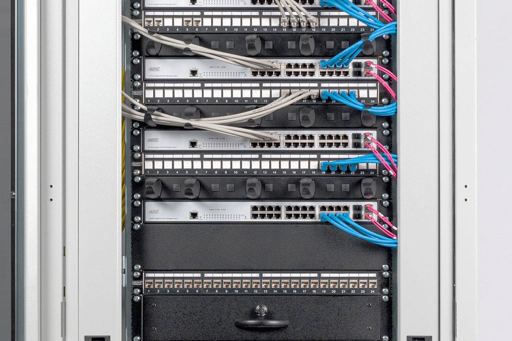 EAN 4016032171720 - Digitus DN-19 BPN-02-SW accesorio de bastidor imagen 2