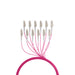 EAN 4049759305451 - EFB Elektronik O8342S80OM4 Cable de fibra óptica e InfiniBand 80 m 12x LC U-DQ(ZN) BH Beige, Negro imagen 3