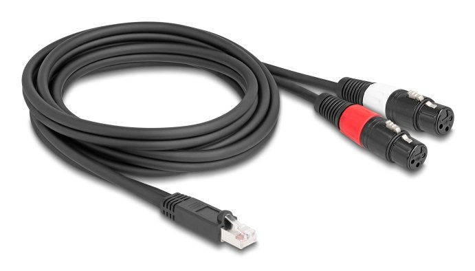 EAN 4043619881765 - DeLOCK 88176 cable de audio 2 m RJ-45 2 x XLR (3-pin) Negro imagen 1