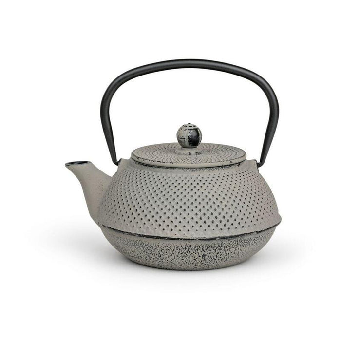 Bredemeijer Teapot Jang 0,8l Cast Iron Grey + Filter 153022