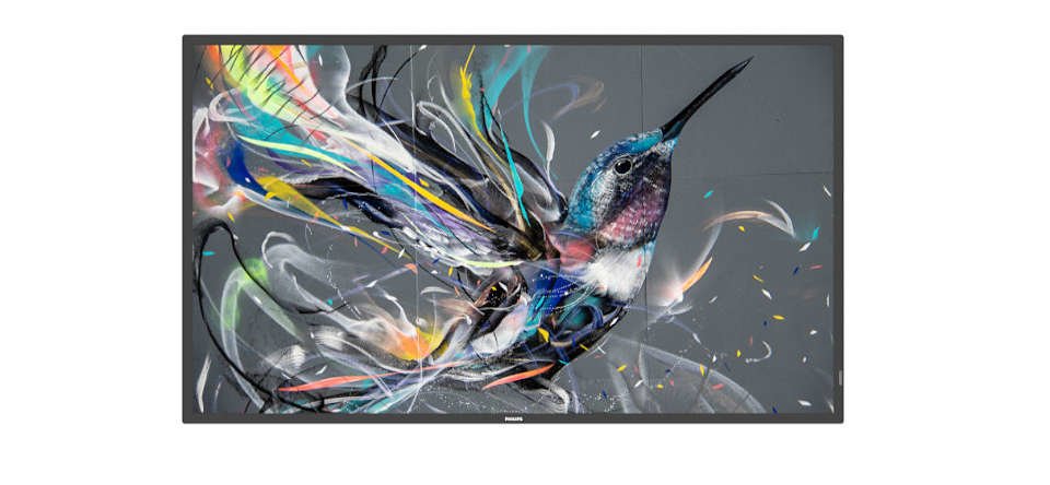 EAN 685417580088 - Philips 50BDL3511Q/00 pantalla de señalización Pizarra de caballete digital 127 cm (50") 500 cd / m² 4K Ul imagen 1
