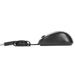 EAN 5051794002737 - Targus AMU75EU ratón Viajes Ambidextro USB tipo A 1000 DPI imagen 4