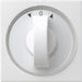 EAN 4010337666035 - GIRA 066603 placa de pared y cubierta de interruptor Blanco imagen 1