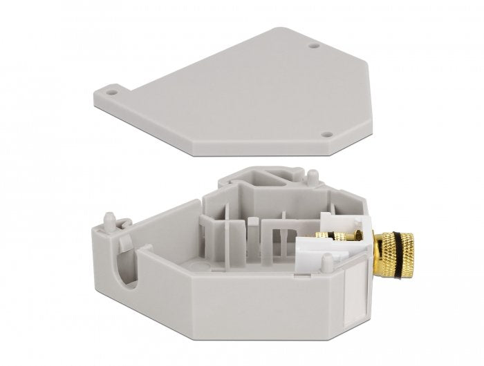 EAN 4043619871629 - DeLOCK 87162 módulo de conector de red imagen 2