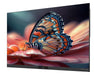 EAN 5055387669093 - Optoma FHDC135 pantalla de señalización 3,43 m (135") LED 700 cd / m² Full HD Negro imagen 4