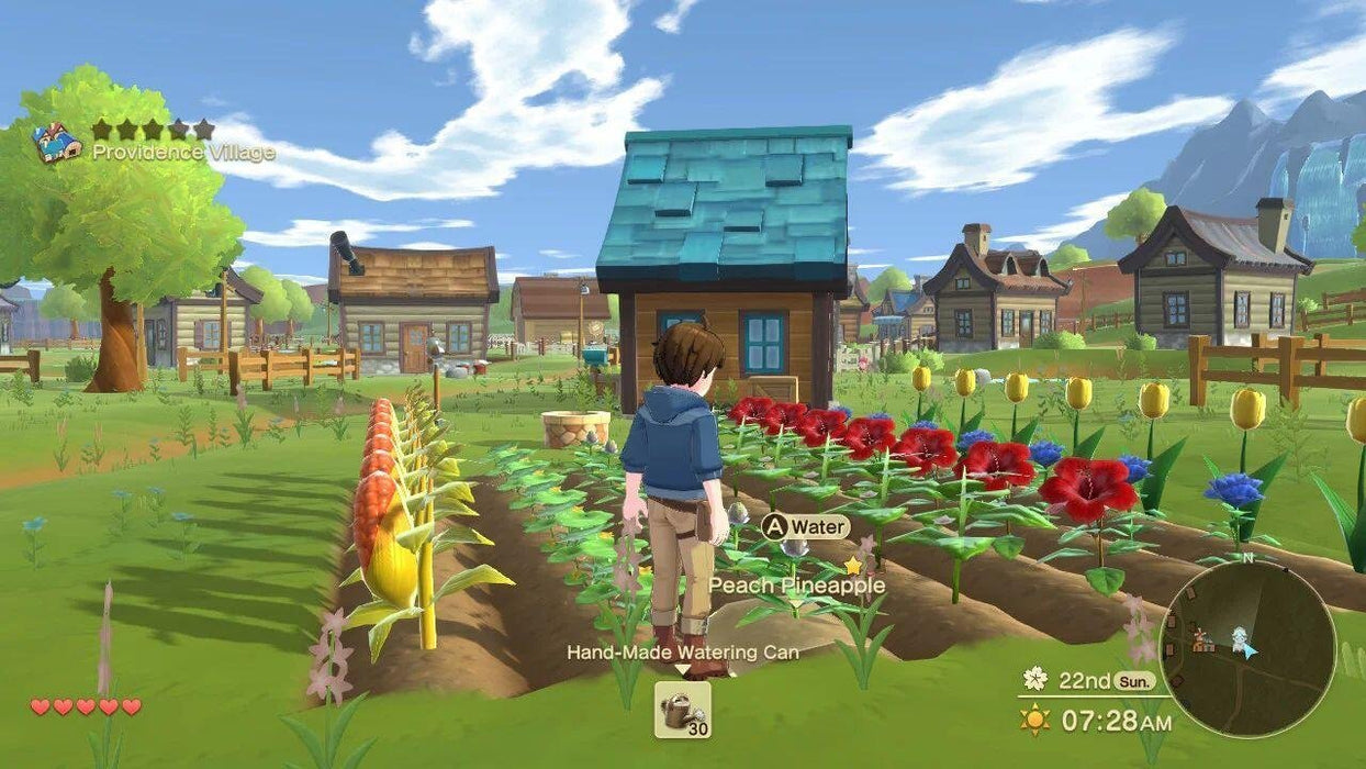 EAN 5060997482338 - Natsume Harvest Moon: The Winds of Anthos imagen 16