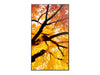 EAN 4550556131032 - Sharp MultiSync M502 Pantalla plana para señalización digital 127 cm (50") LCD 550 cd / m² 4K Ultra HD Ne imagen 2
